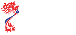 Phoenix2.0 logo